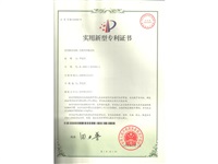 专利-010